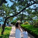鲁迅公园 - 青岛市旅游 缩略图 3