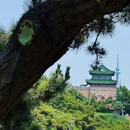 鲁迅公园 - 青岛市旅游 缩略图 7