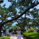 鲁迅公园 - 青岛市旅游 缩略图 9