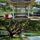 江心屿景区 - 温州旅游 缩略图 8