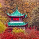 长沙梅溪湖金茂豪华精选酒店 - 长沙市旅游 缩略图 6