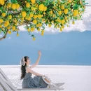 听花堂海景花园美宿(大理洱海天境店) - 大理白族自治州旅游 缩略图 4