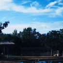 西安秦岭野生动物园 - 西安市旅游 缩略图 3