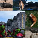 西安秦岭野生动物园 - 西安市旅游 缩略图 1