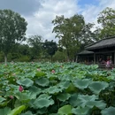 蜀冈瘦西湖风景名胜区 - 扬州旅游 缩略图 4