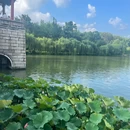 蜀冈瘦西湖风景名胜区 - 扬州旅游 缩略图 9