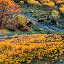 百里天路 - 承德市旅游 缩略图 9