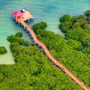 湛江金沙湾北休闲小岛 - 湛江市旅游 缩略图 2