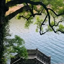 宁波香舍酒店(奉化宝龙广场店) - 宁波市旅游 缩略图 3
