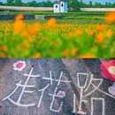 项王故里景区 - 宿迁市旅游 缩略图 3