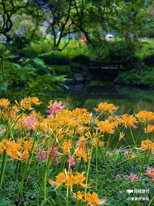 杭州植物园 - 杭州市旅游