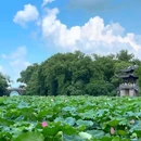 杭州西湖 - 杭州市旅游 缩略图 2