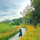 东江湖景区 - 郴州市旅游 缩略图 6
