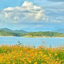 东江湖景区 - 郴州市旅游 缩略图 9