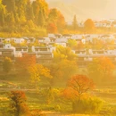 徽州古城景区 - 黄山市旅游 缩略图 6