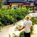 威海华夏城旅游风景区-凉亭 - 威海市旅游 缩略图 8
