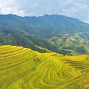 云和梯田景区 - 丽水市旅游 缩略图 4