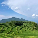 云和梯田景区 - 丽水市旅游 缩略图 5
