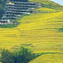云和梯田景区 - 丽水市旅游 缩略图 1