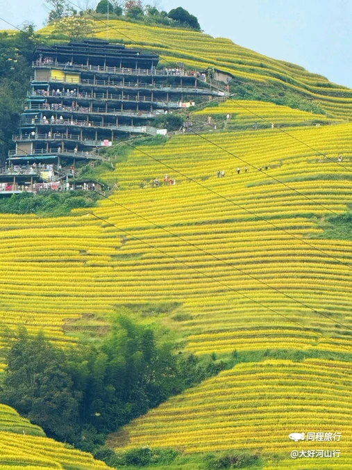 云和梯田景区 - 丽水市旅游