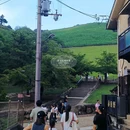 奈良 - 日本旅游 缩略图 8