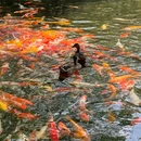 渔人码头-东门 - 佛山市旅游 缩略图 1
