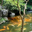 渔人码头-东门 - 佛山市旅游 缩略图 8