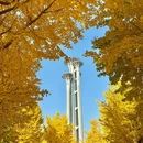 香山公园 - 北京市旅游 缩略图 8