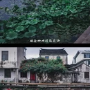 太平老街 - 苏州市旅游 缩略图 7