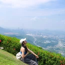 黄埔油麻山森林公园 - 广州市旅游 缩略图 4