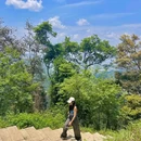 黄埔油麻山森林公园 - 广州市旅游 缩略图 5