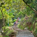 黄埔油麻山森林公园 - 广州市旅游 缩略图 6