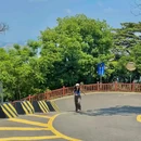 黄埔油麻山森林公园 - 广州市旅游 缩略图 9