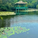 钟山风景区-明孝陵景区 - 南京市旅游 缩略图 5