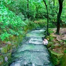 钟山风景区-明孝陵景区 - 南京市旅游 缩略图 1