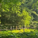 钟山风景区-明孝陵景区 - 南京市旅游 缩略图 3