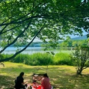 钟山风景区-明孝陵景区 - 南京市旅游 缩略图 6