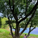 钟山风景区-明孝陵景区 - 南京市旅游 缩略图 7