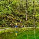 喇叭河风景区 - 雅安市旅游 缩略图 3