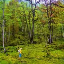 喇叭河风景区 - 雅安市旅游 缩略图 6