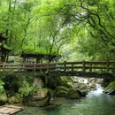 青城后山-五龙沟 - 成都市旅游 缩略图 1