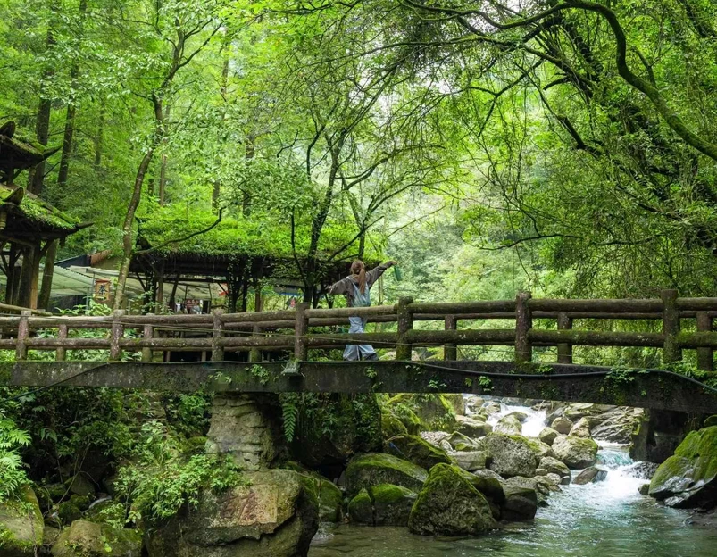 青城后山-五龙沟 - 成都市旅游 1