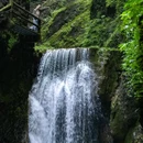 青城后山-五龙沟 - 成都市旅游 缩略图 6