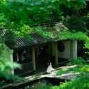 虎跑公园 - 杭州市旅游 缩略图 4