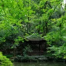 虎跑公园 - 杭州市旅游 缩略图 1