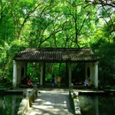 虎跑公园 - 杭州市旅游 缩略图 9