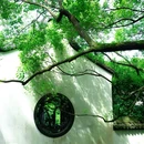虎跑公园 - 杭州市旅游 缩略图 7