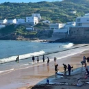花鸟岛 - 舟山旅游 缩略图 5