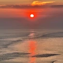 花鸟岛 - 舟山旅游 缩略图 7
