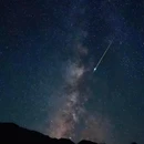 花鸟岛 - 舟山旅游 缩略图 8